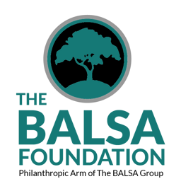 Balsa